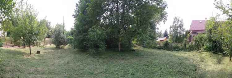 Telek Kiadó , Budapest, Közép-Magyarország