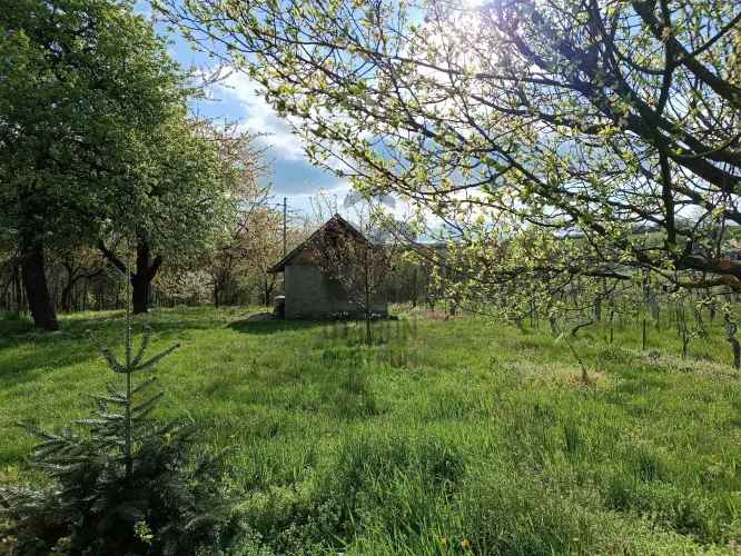 Zalacsányi eladó családi ház, H484706