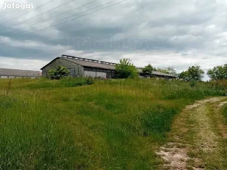 Gazdasági épület Balaton-közelben - Zamárdi, Iroda, üzlethelyiség, ipari ingatlan - Jófogás Ingatlan