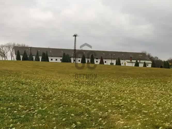 Udvarii eladó mezőgazdasagi ingatlan, M0002740
