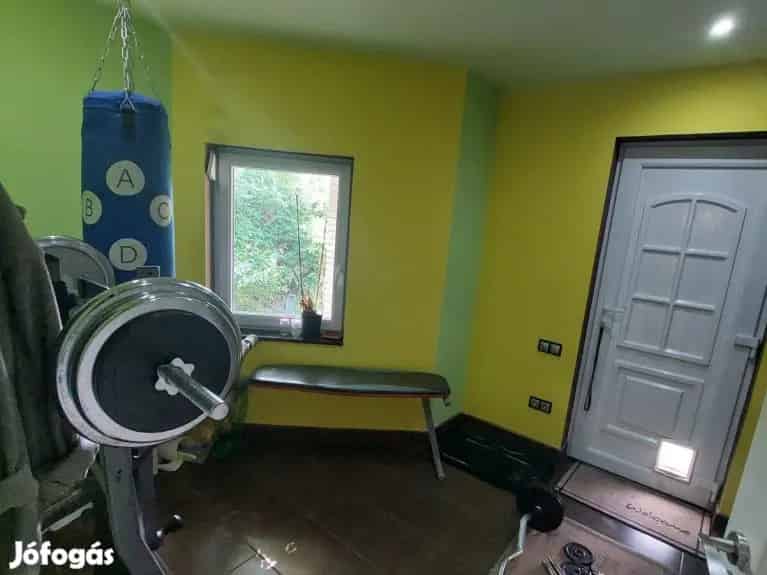 Lepsényi ikerház eladó - otthonos, modern, jó elosztású
