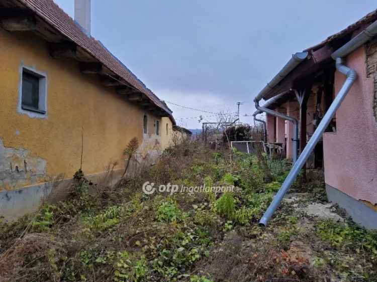 Pest megye Domony panorámás családi ház eladó felújítandó