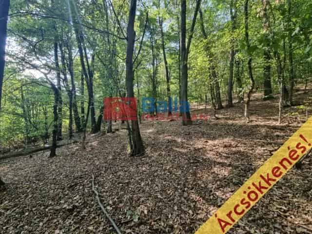 Kismaros Telek Eladó 1404 m² Erdő Közel