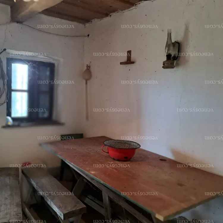 Bor, mámor, PROVENCE? Megtalálta Zalában!!!