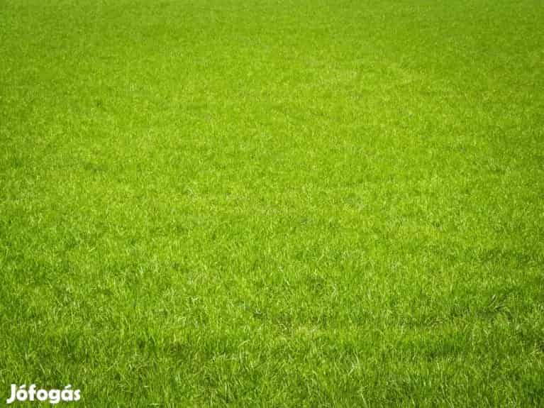 Építési telek több funkcióval Balatonfűzfőn - Balatonfűzfő, Telek, föld - Jófogás Ingatlan