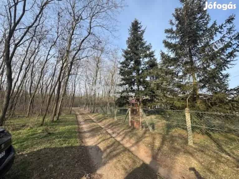 Élvezze a természetet Erdőspusztán! - Debrecen, Telek, föld - Jófogás Ingatlan