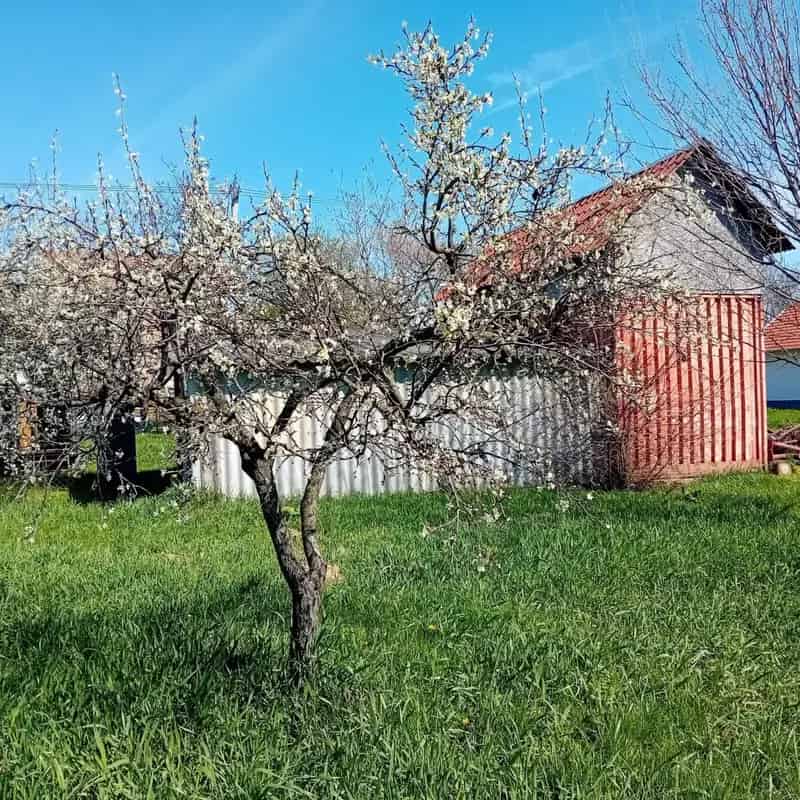 Telek Kiadó , Mezőtúri járás, Alföld és Észak
