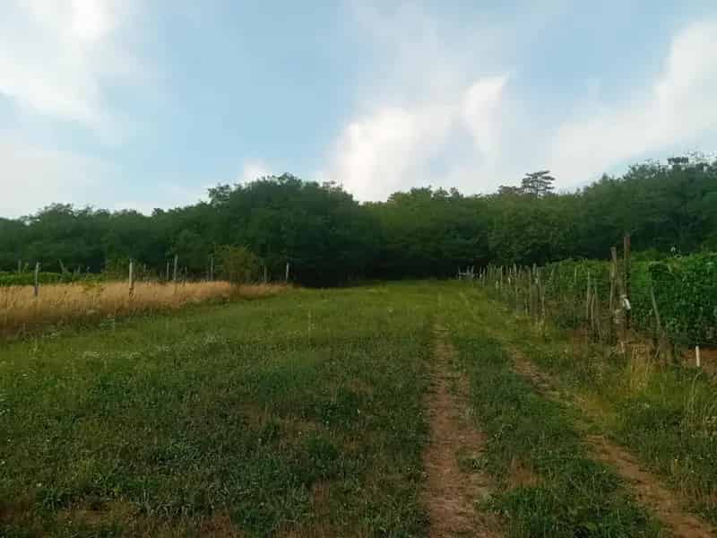 Telek Kiadó , Tatai járás, Dunántúl