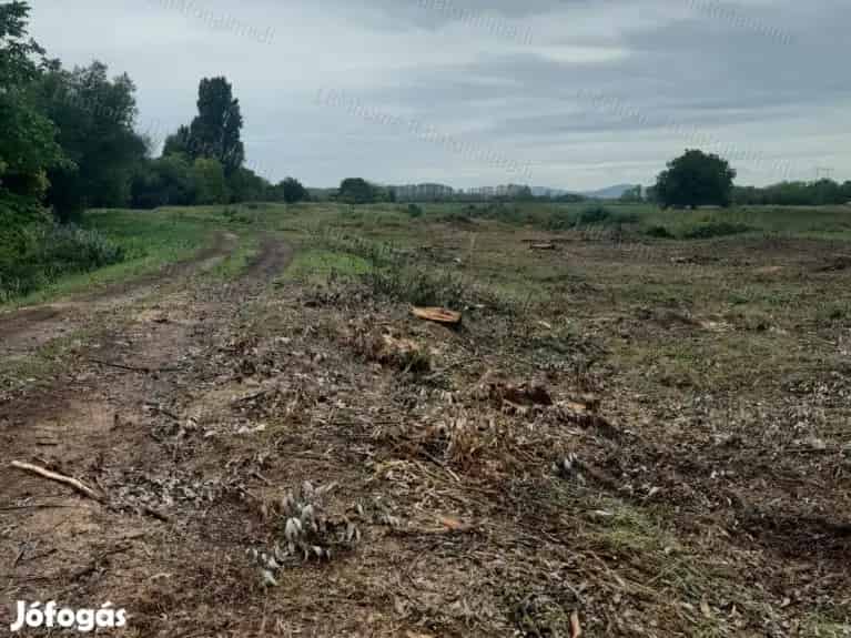 Ötrészre osztható építési telek a Balaton közelében - Papkeszi, Telek, föld - Jófogás Ingatlan