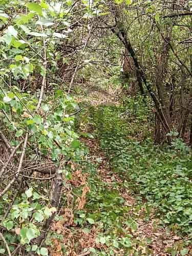 Pomázi eladó telek, T040447