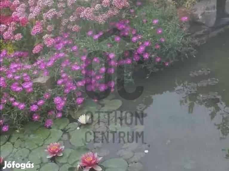 Salomvári eladó vegyesfalazatú családi ház - Salomvár, Ház - Jófogás Ingatlan