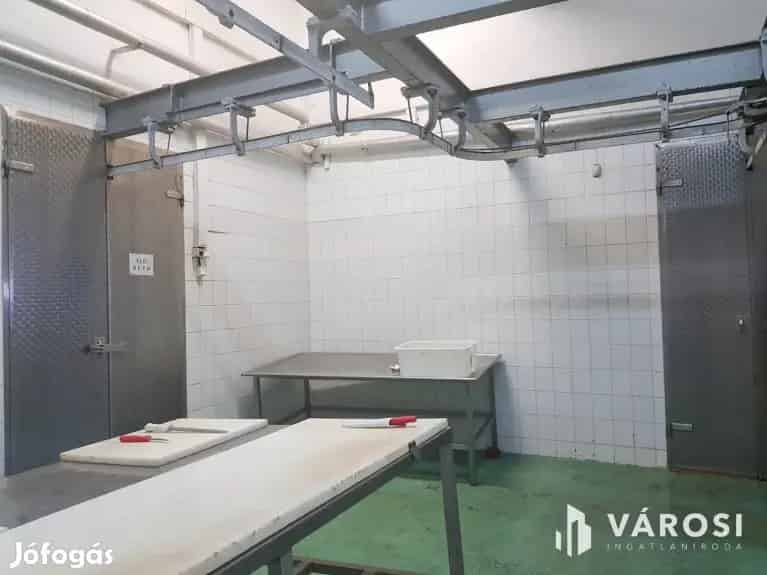 Vágóhíd és húsfeldolgozó üzem - Hódmezővásárhely, Iroda, üzlethelyiség, ipari ingatlan - Jófogás Ingatlan