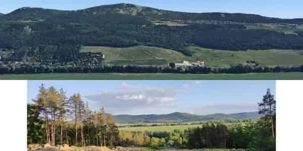 Telek Kiadó , Pilisborosjenő, Közép-Magyarország