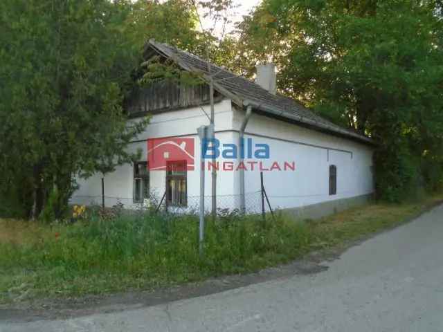 Tiszakécske , Tiszabög utca