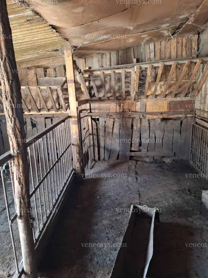 🏡 Eladó tanya Baja közelében – Tökéletes választás gazdálkodáshoz vagy vidéki élethez!