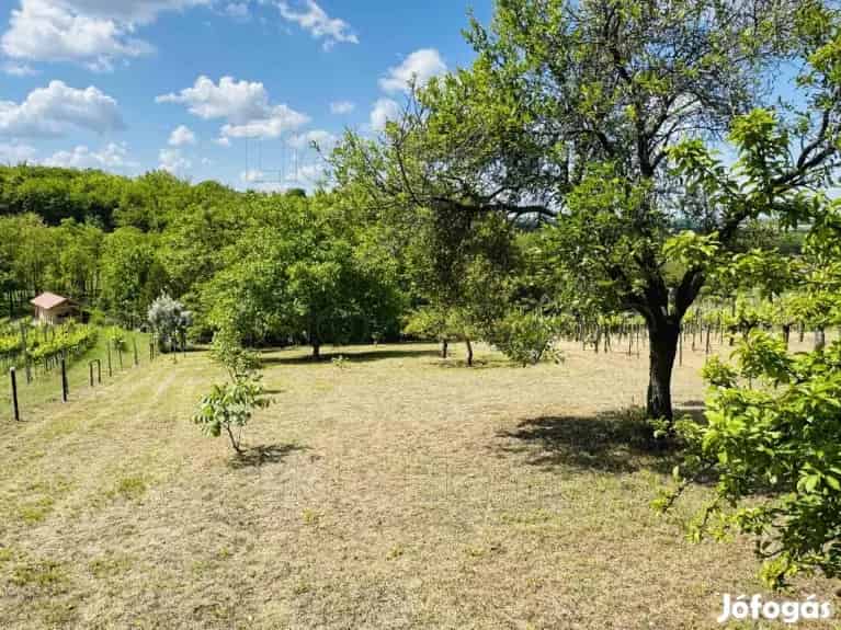 Természetközeli nyugalom Győrszemerén  panorámás terület eladó! - Győrszemere, Nyaralók, üdülők - Jófogás Ingatlan