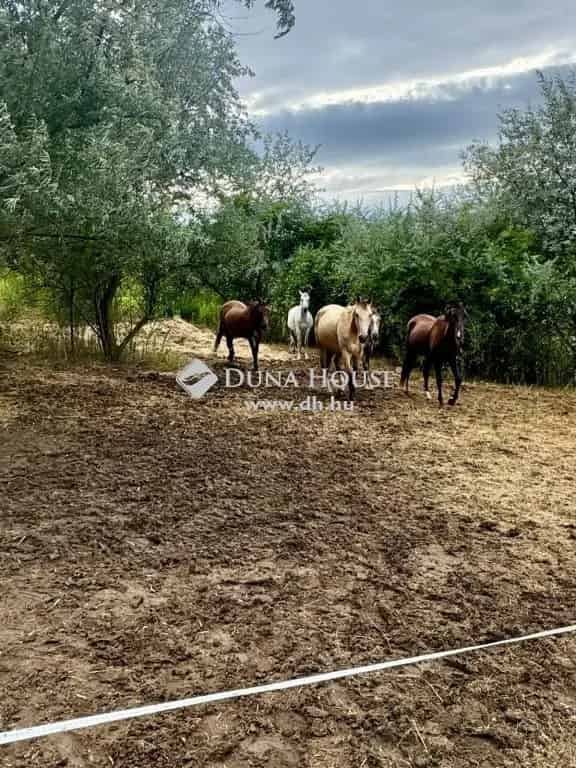 Telek Eladó , Piliscsaba, Közép-Magyarország