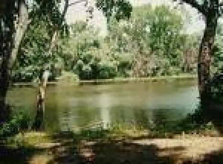 Eladó Ház, Tiszakeszi, Borsod-Abauj-Zemplen, Magyarország (MD137266), Mondinion.com - Nemzetközi Ingatlan Portál
