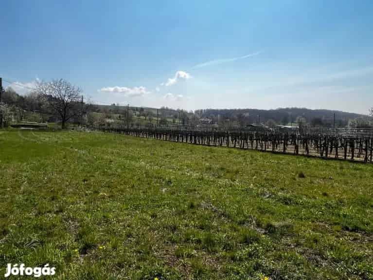 Csókakői építési telek eladó - Csókakő, Telek, föld - Jófogás Ingatlan