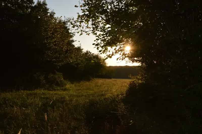 Telek Kiadó , Veszprémi járás, Dunántúl