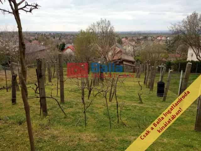 Csömör , Vízműsor utca