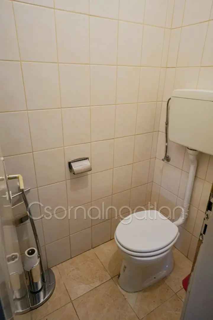 100 m2-es családi ház 2488 m2-es telken eladó