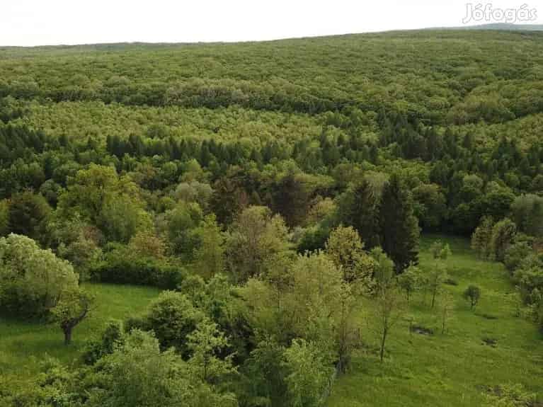 Miskolctapolcai panorámás telek eladó - 3443m2 - Miskolc, Telek, föld - Jófogás Ingatlan