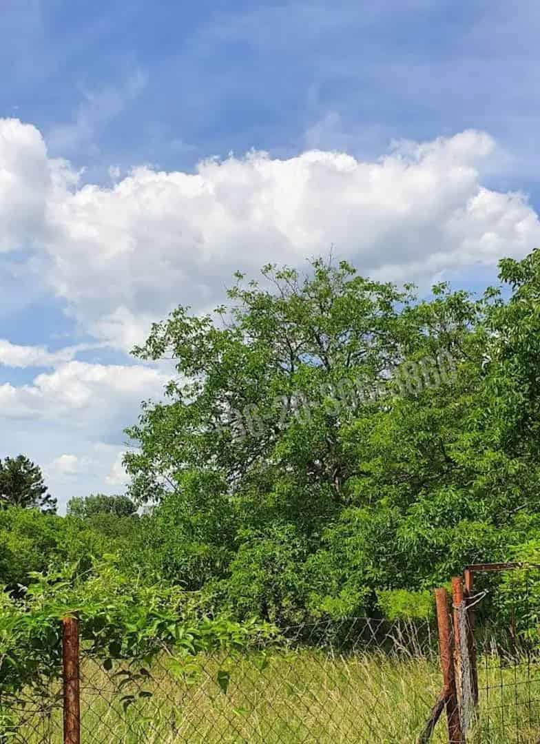 Telek Kiadó , Budakeszi járás, Közép-Magyarország