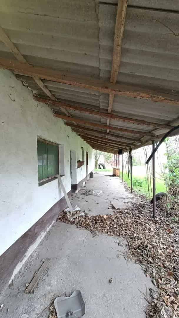 Telek Kiadó , Kiskunhalasi járás, Alföld és Észak