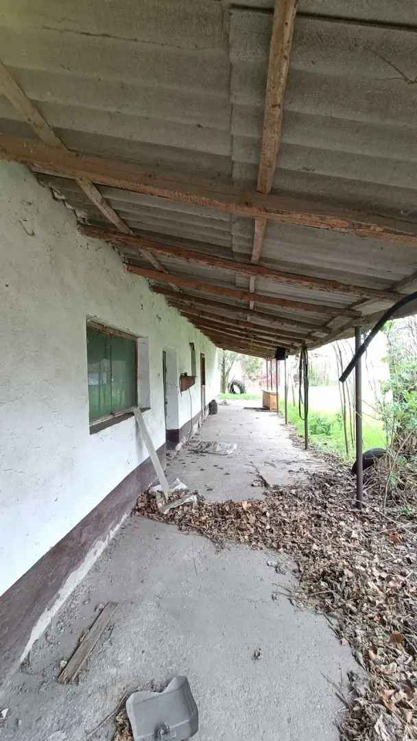Telek Kiadó , Kiskunhalasi járás, Alföld és Észak