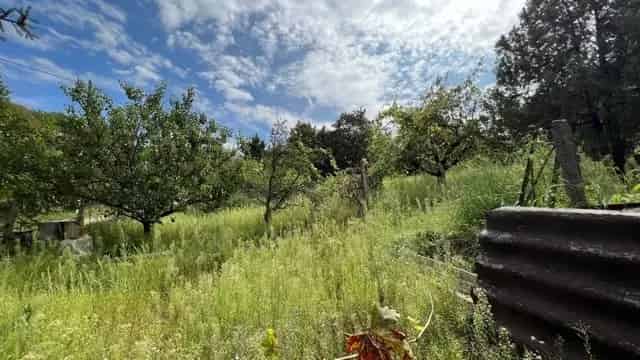 Telek Kiadó , Dunakeszi járás, Közép-Magyarország