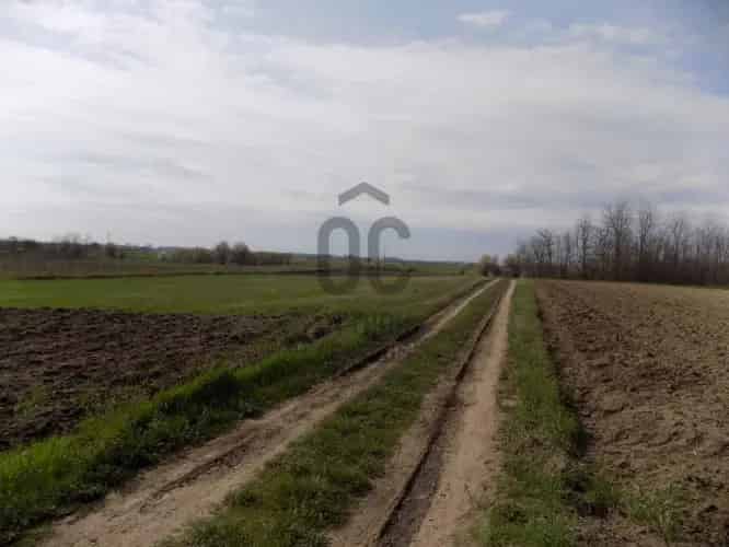 Nagykőrösi eladó telek, T038710