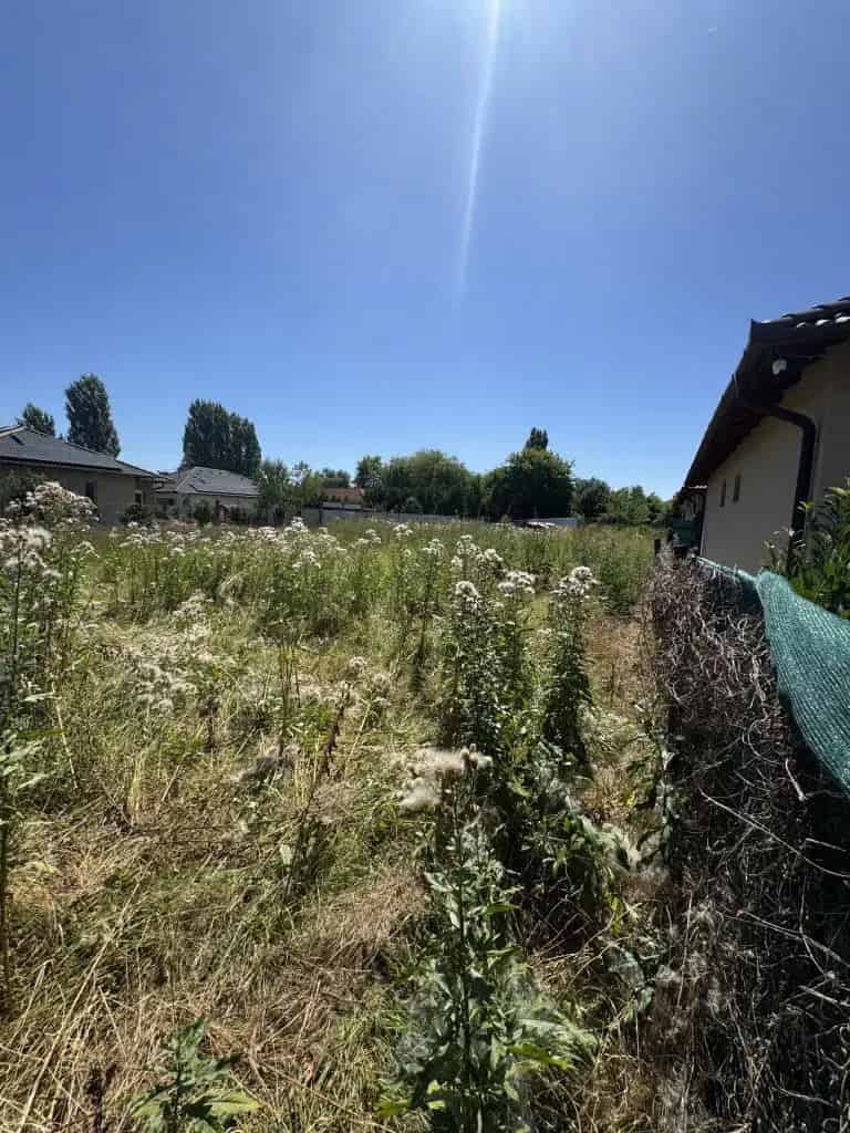 Telek Kiadó , Érdi járás, Közép-Magyarország