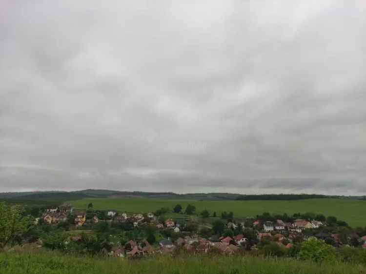 Telek Eladó , Dorog, Dunántúl