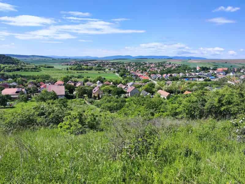 Telek Kiadó , 14, Kossuth utca, Rád, Közép-Magyarország