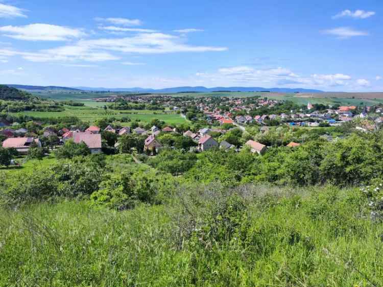 Telek Kiadó , 14, Kossuth utca, Rád, Közép-Magyarország