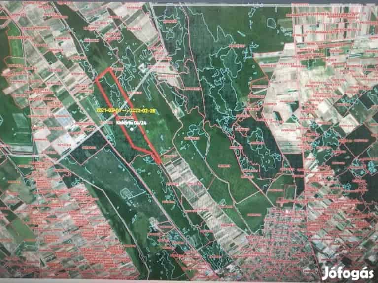 Akasztó és Kiskőrös határában 97,5 Ha legelő, rét, eladó! - Akasztó, Telek, föld - Jófogás Ingatlan