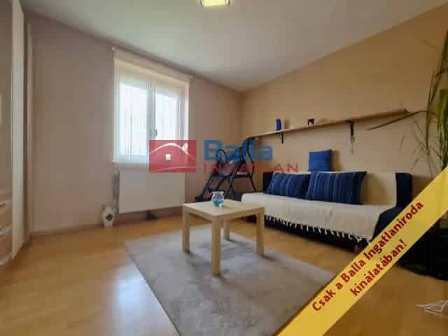 Délegyháza , Vadvirág utca