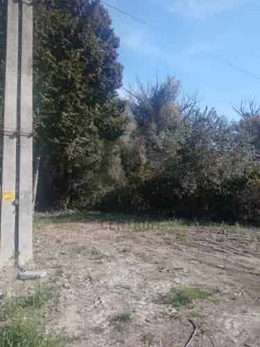 Ráckevei eladó telek, T037076