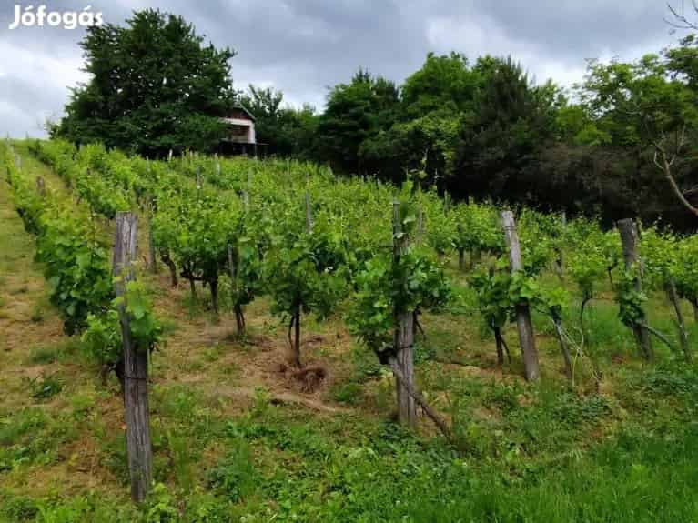 Eladó panorámás pince,nyaraló Zalaszentgrót Aranyod - Zalaszentgrót, Nyaralók, üdülők - Jófogás Ingatlan