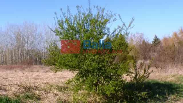 Siófok , Békásdűlő dűlő