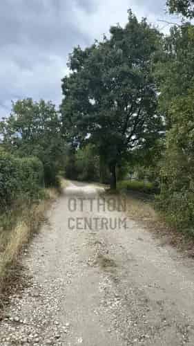 Szentendrei eladó telek, DTK060782