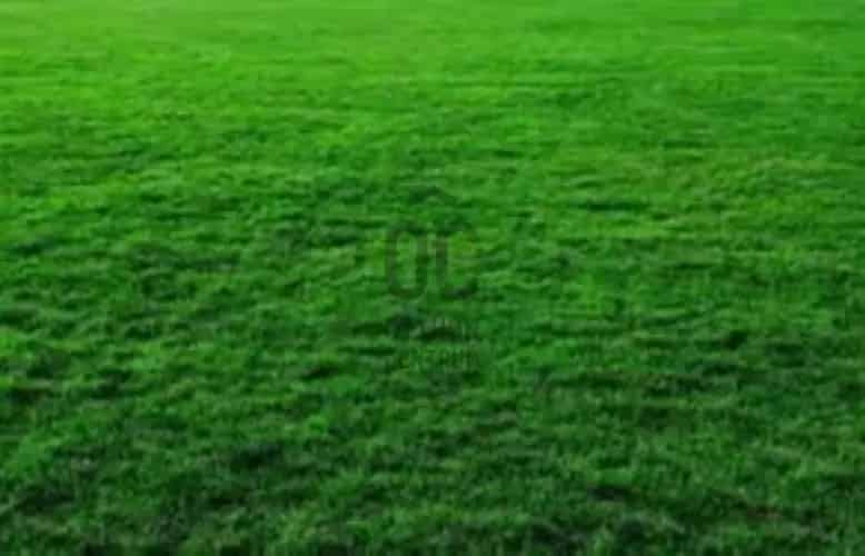 Zamárdii eladó telek, OHT176024