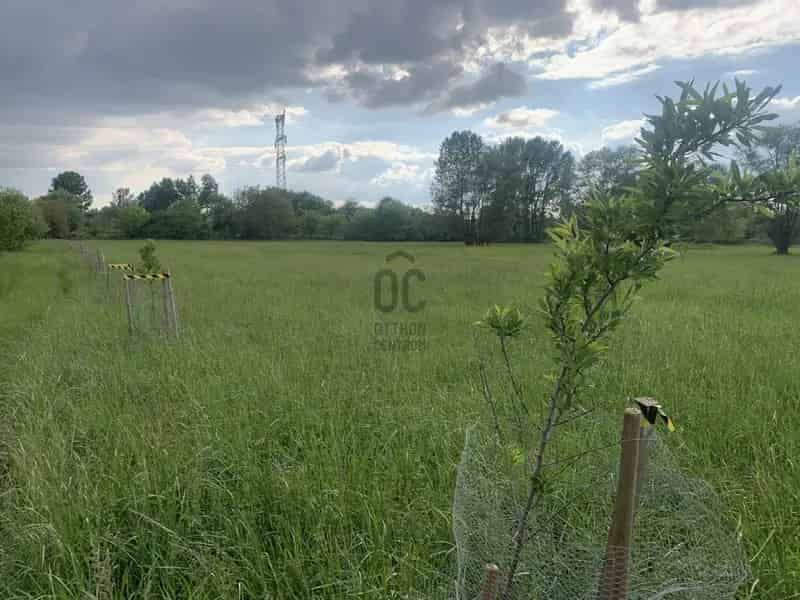 Telek Kiadó , Budapest, Közép-Magyarország