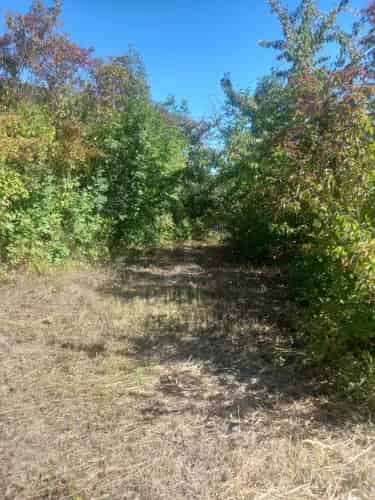 Váci eladó telek, T040545