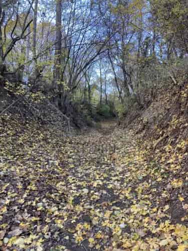 Leányfalui eladó telek, T033357