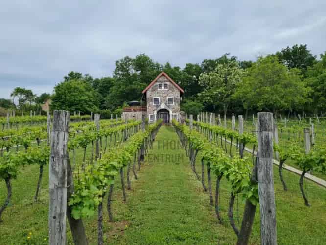 Badacsonytomaji eladó nyaraló, NY012683